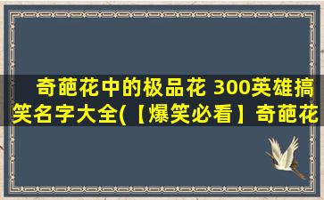 奇葩花中的极品花 300英雄搞笑名字大全(【爆笑必看】奇葩花中的极品花 300英雄搞笑名字大全)